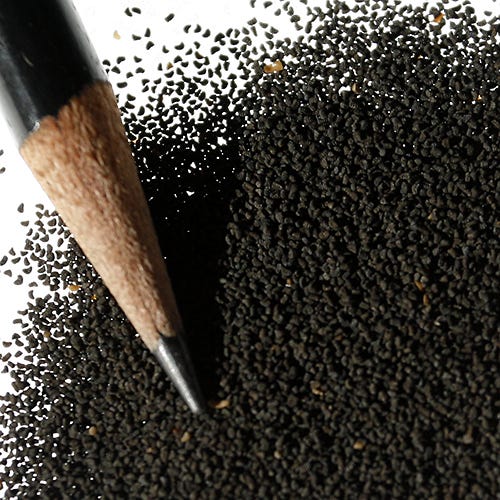 Baby Snapdragon Seeds - Image 4