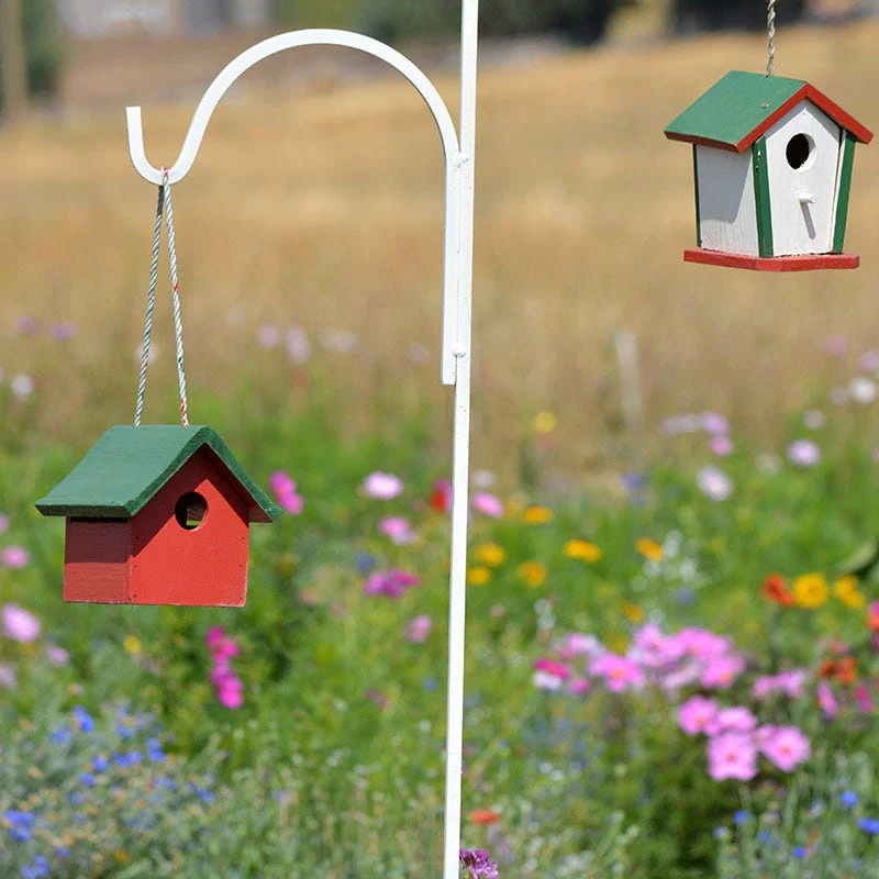 Backyard Birding Wildflower Seed Mix - Image 2