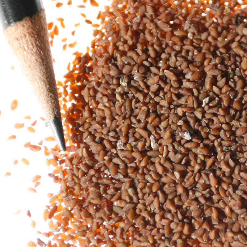 Bird's Eyes Seeds - Image 2