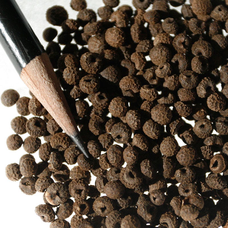 Black Eyed Susan Vine Seeds - Image 6
