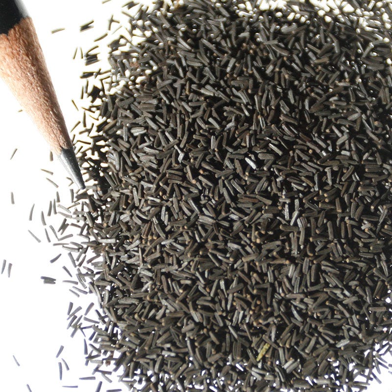 Black Eyed Susan Seeds - Image 10