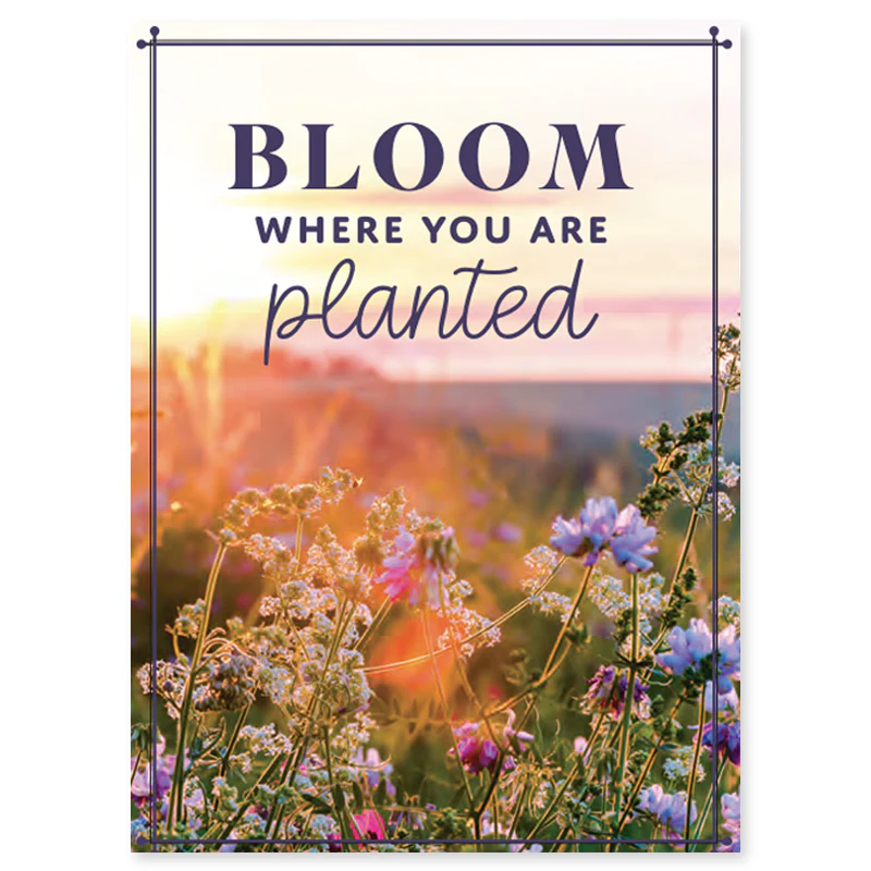 Bloom Where You Are Planted Seed Packet