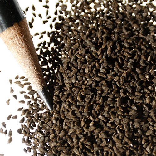 Farewell to Spring Seeds - Image 4