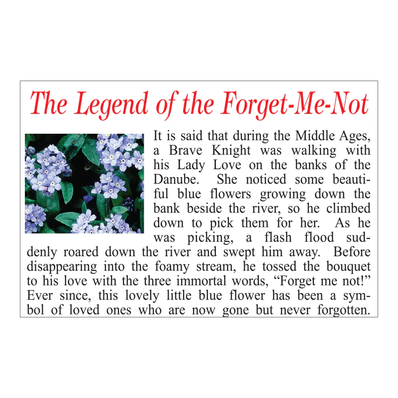 Fond Memories Seed Packet - Image 3