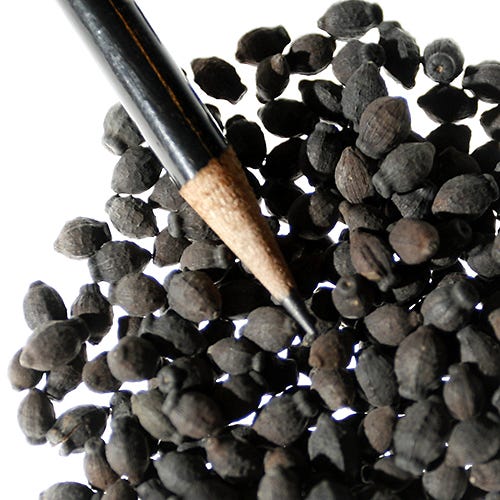 Four O'Clock Seed Mix - Image 4