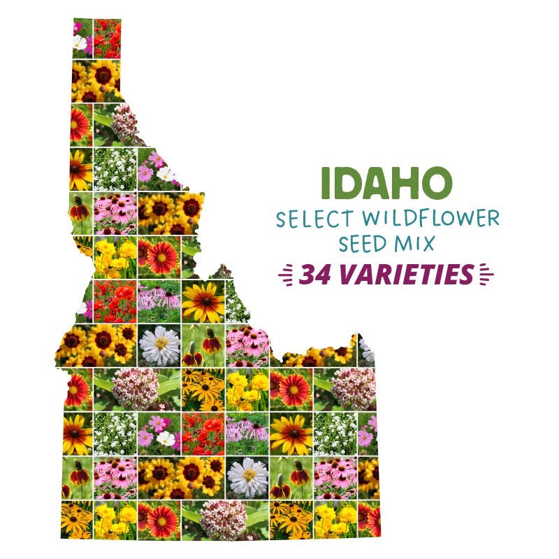 Idaho Select Wildflower Seed Mix