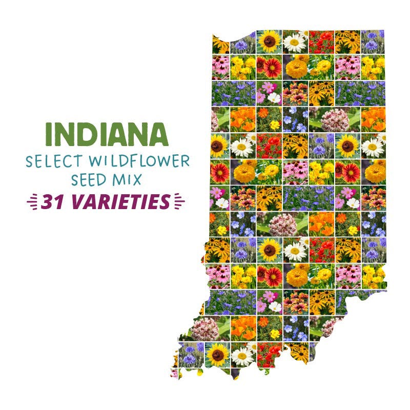 Indiana Select Wildflower Seed Mix