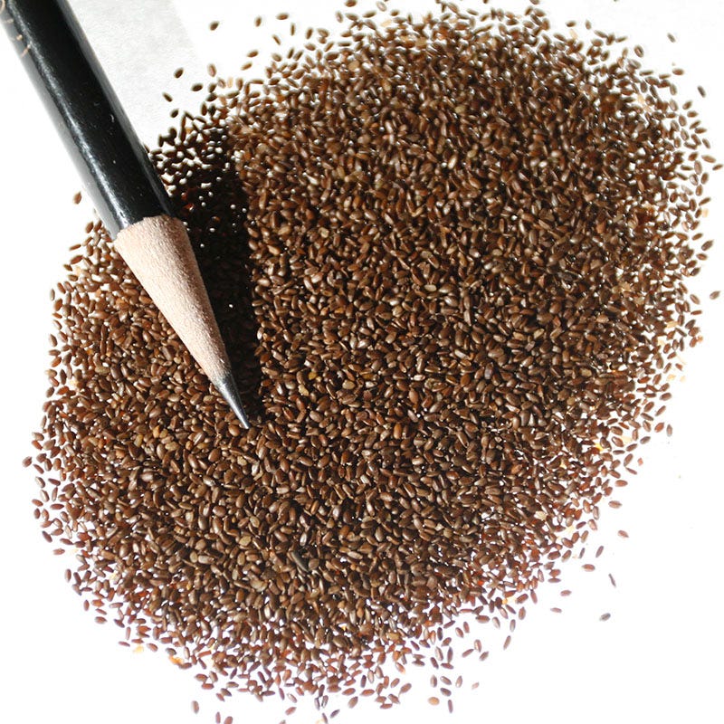 Lemon Mint Seeds - Image 3