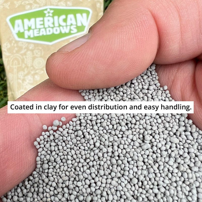 Microclover® Seed - The Original Low-Maintenance Lawn - Image 6