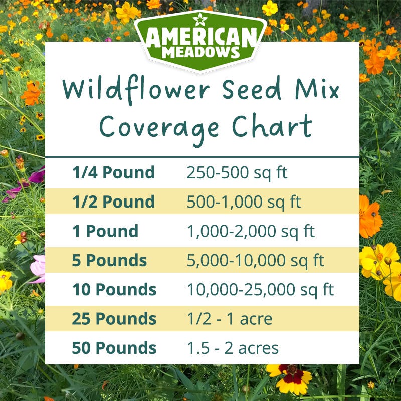 Native Midwest Wildflower Seed Mix - Image 6