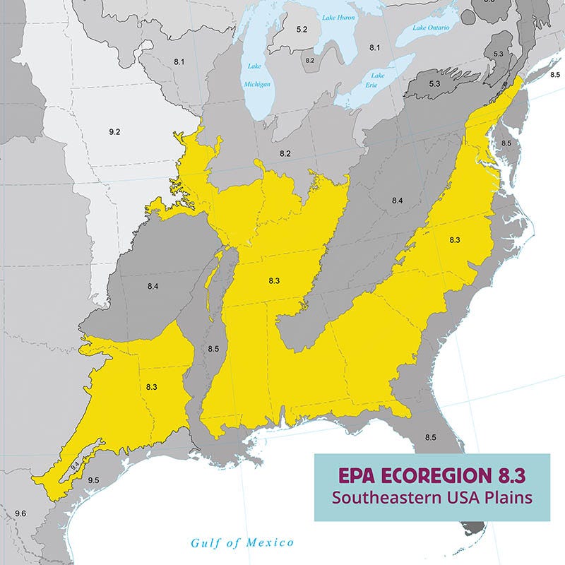Ecoregion Native Plant Collection - Southeastern USA Plains - Image 2