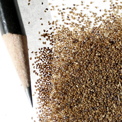 Red Poppy Seed Mix - Image 7