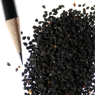 Sweet William Seeds - Image 8