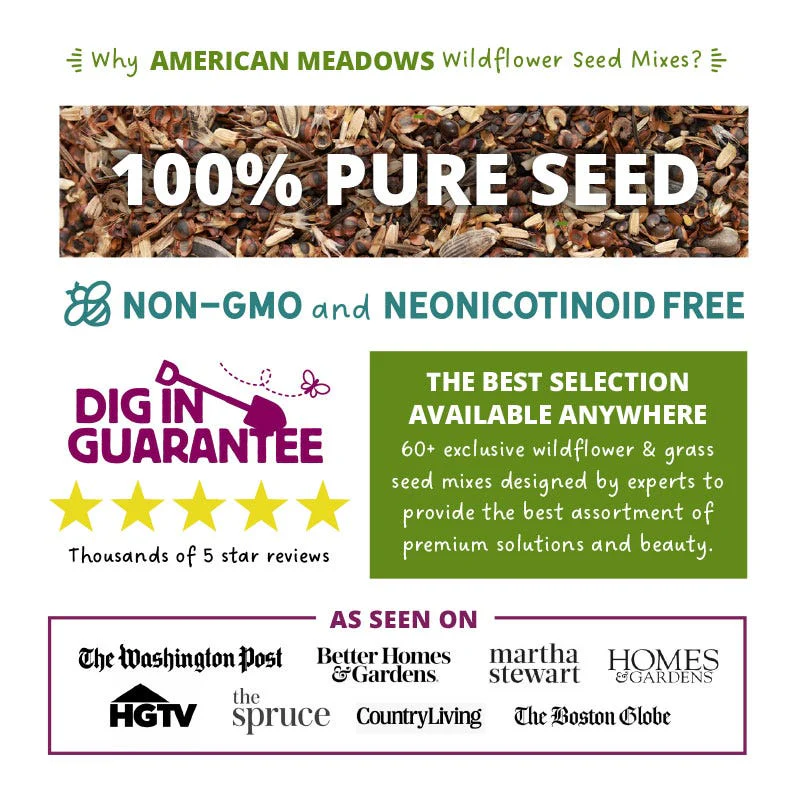 West Select Wildflower Seed Mix - Image 4